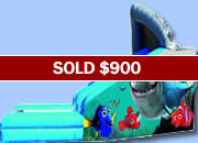 Finding Nemo Dry Slide with Ball Pit